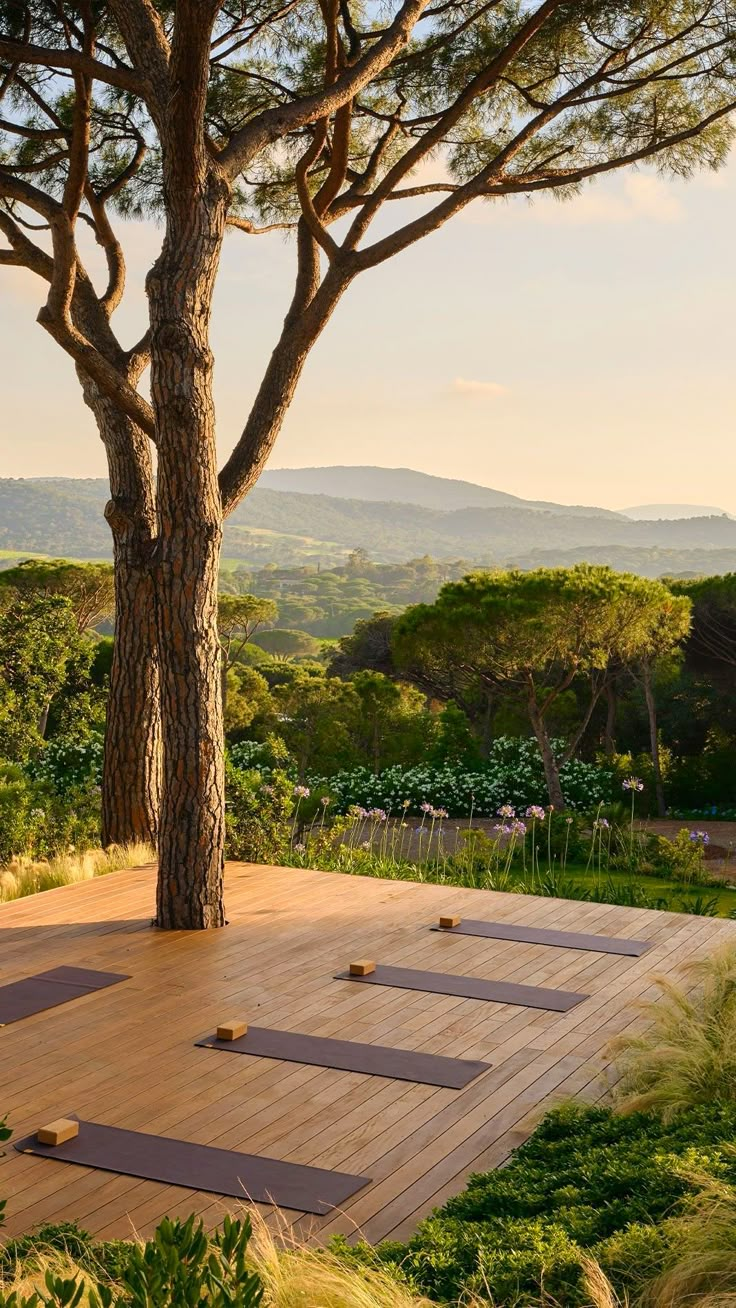 Anahata Luxury Ibiza Retreat May 8th - 12th 2025