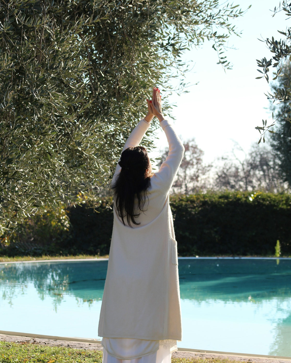 Yoga under the olive trees